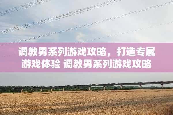 **男系列游戏攻略，打造专属游戏体验**男系列游戏攻略