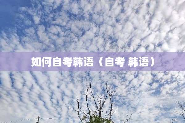 如何自考韩语（自考 韩语）