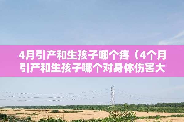 4月引产和生孩子哪个疼（4个月引产和生孩子哪个对身体伤害大）