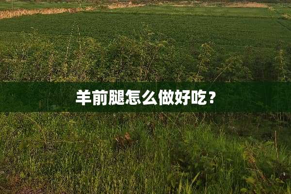羊前腿怎么做好吃？