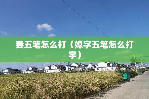 妻五笔怎么打（媳字五笔怎么打字）