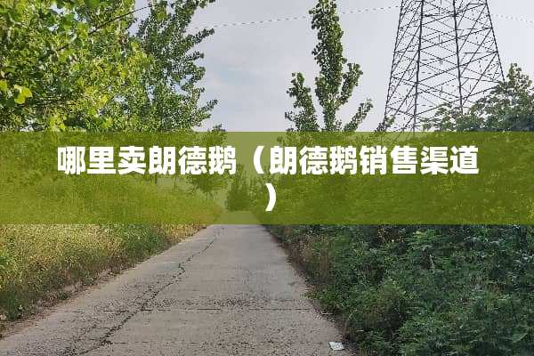 哪里卖朗德鹅（朗德鹅销售渠道）