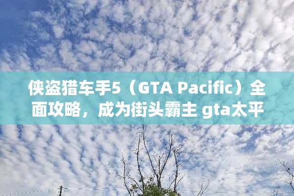 侠盗猎车手5（GTA Pacific）全面攻略，成为街头霸主 gta太平洋攻略