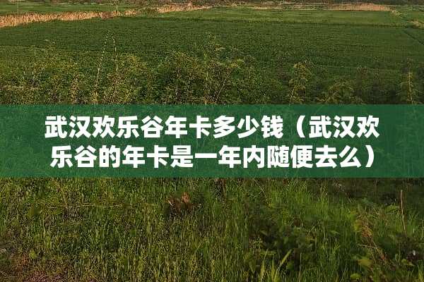 武汉欢乐谷年卡多少钱（武汉欢乐谷的年卡是一年内随便去么）