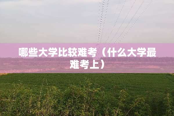 哪些大学比较难考（什么大学最难考上）