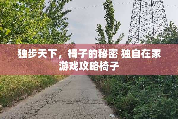 独步天下，椅子的秘密 独自在家游戏攻略椅子