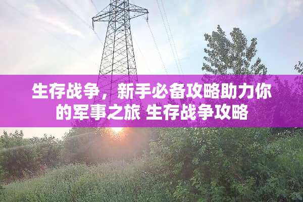 生存战争，新手必备攻略助力你的军事之旅 生存战争攻略