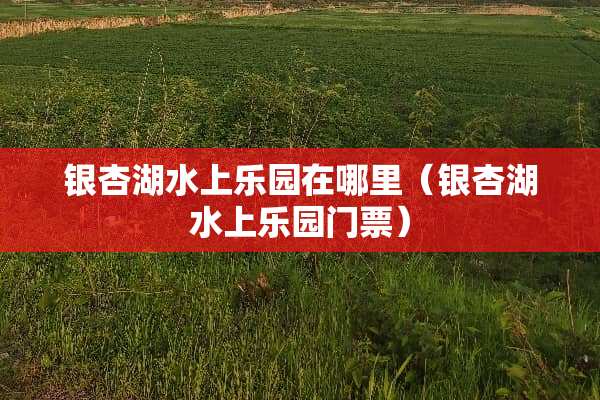 银杏湖水上乐园在哪里（银杏湖水上乐园门票）
