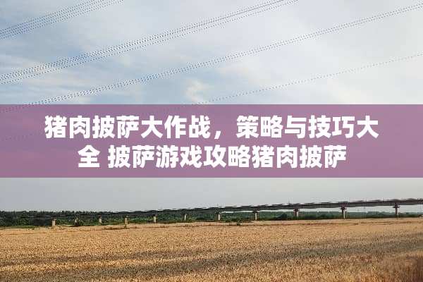 猪肉披萨大作战，策略与技巧大全 披萨游戏攻略猪肉披萨