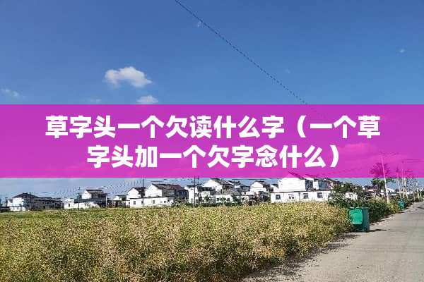 草字头一个欠读什么字（一个草字头加一个欠字念什么）