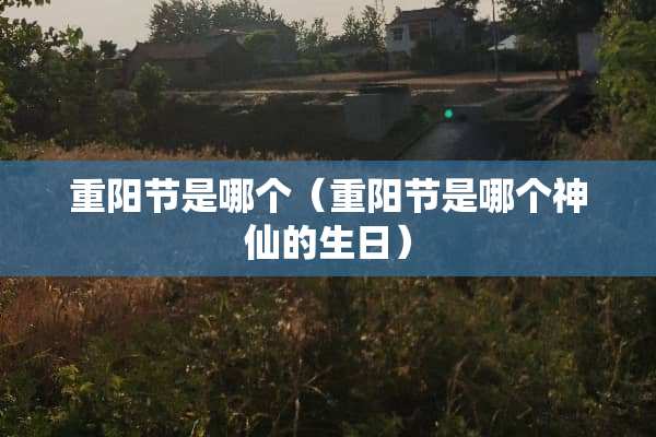 重阳节是哪个（重阳节是哪个神仙的生日）