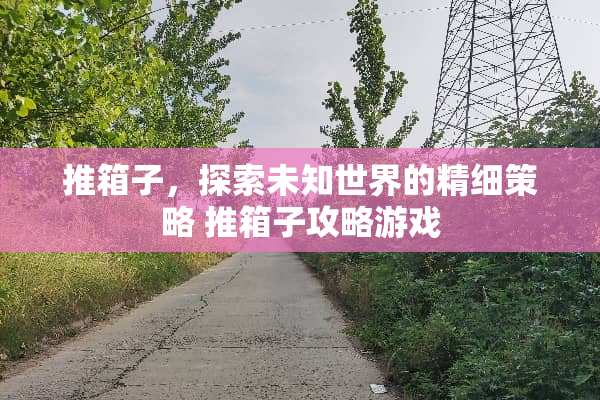 推箱子，探索未知世界的精细策略 推箱子攻略游戏