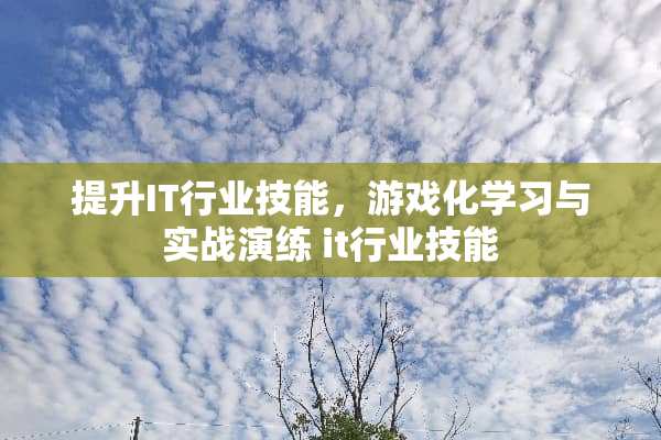 提升IT行业技能，游戏化学习与实战演练 it行业技能