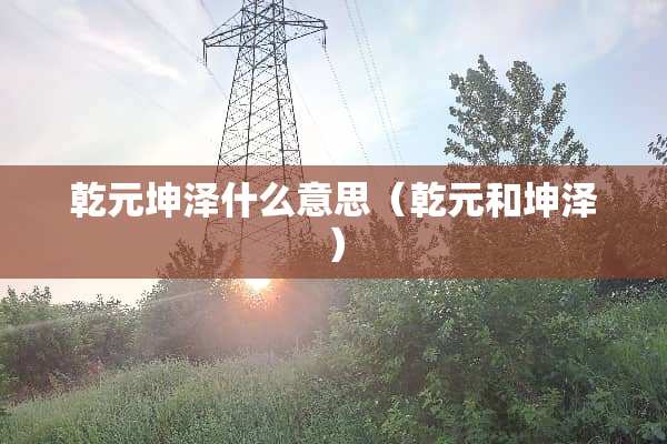 乾元坤泽什么意思（乾元和坤泽）