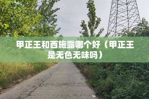 甲正王和西施露哪个好（甲正王是无色无味吗）