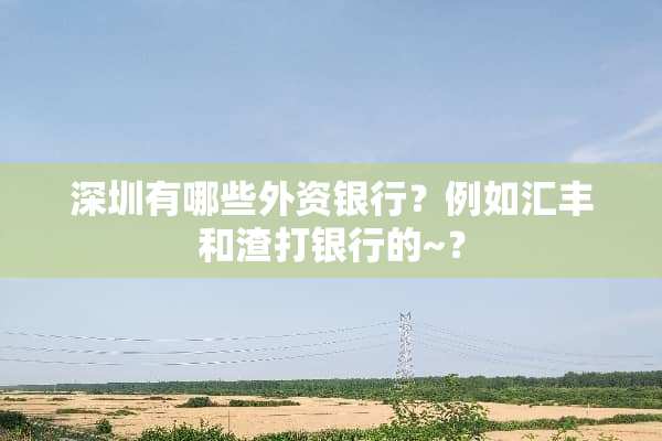 深圳有哪些外资银行？例如汇丰和渣打银行的~？