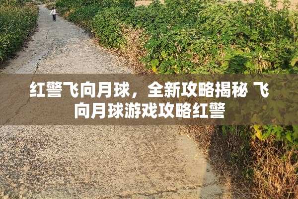 红警飞向月球，全新攻略揭秘 飞向月球游戏攻略红警
