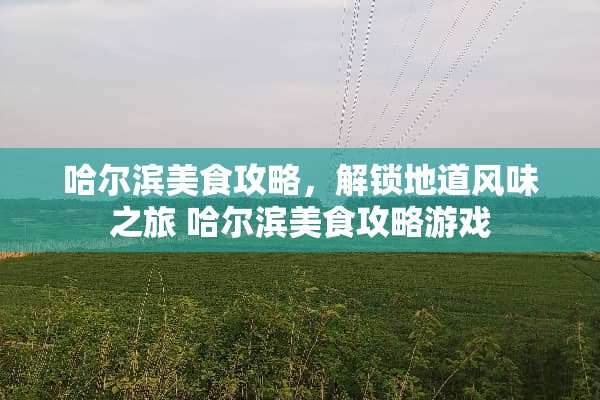 哈尔滨美食攻略，解锁地道风味之旅 哈尔滨美食攻略游戏