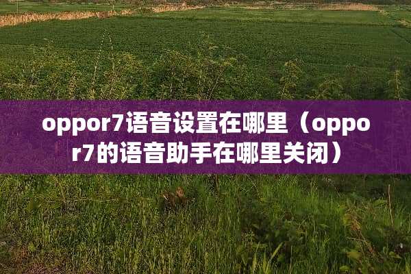 oppor7语音设置在哪里（oppor7的语音助手在哪里关闭）