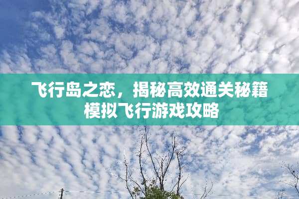 飞行岛之恋，揭秘高效通关秘籍 模拟飞行游戏攻略