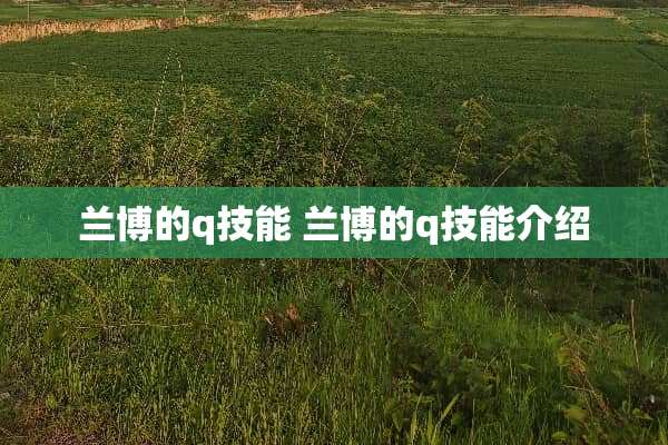 兰博的q技能 兰博的q技能介绍