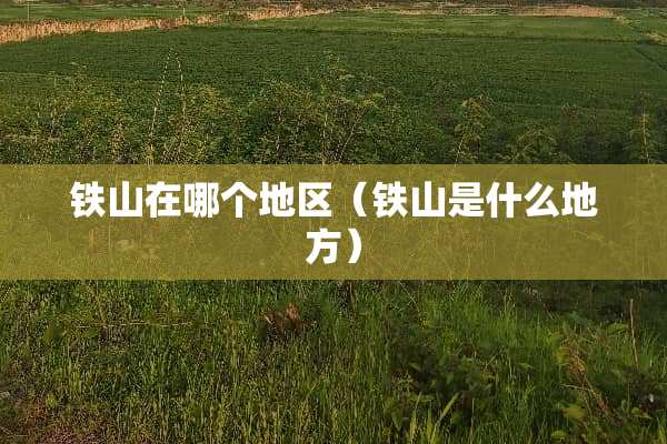 铁山在哪个地区（铁山是什么地方）