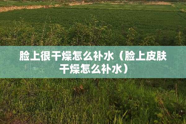 脸上很干燥怎么补水（脸上皮肤干燥怎么补水）
