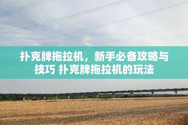 **牌拖拉机，新手必备攻略与技巧**牌拖拉机的玩法