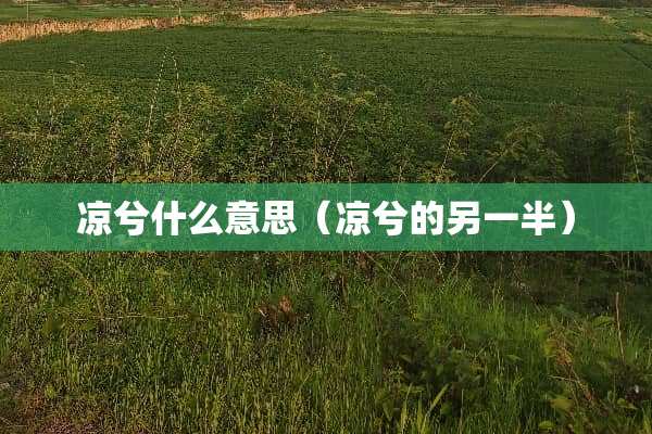 凉兮什么意思（凉兮的另一半）