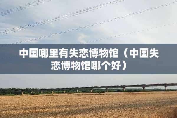中国哪里有失恋博物馆（中国失恋博物馆哪个好）