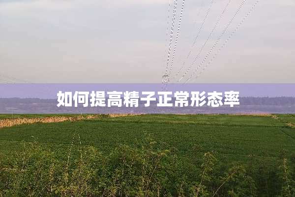 如何提高精子正常形态率