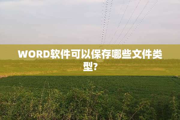 WORD软件可以保存哪些文件类型?