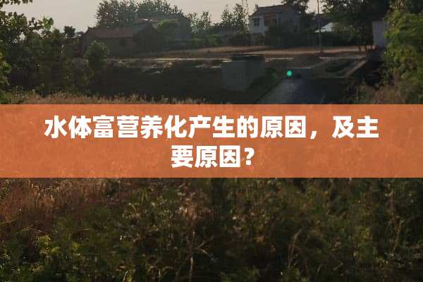 水体富营养化产生的原因，及主要原因？