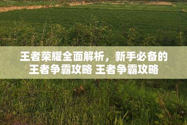 王者荣耀全面解析，新手必备的王者争霸攻略 王者争霸攻略