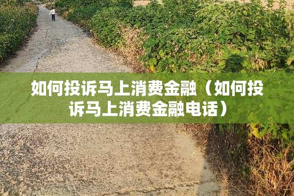 如何投诉马上消费金融（如何投诉马上消费金融电话）