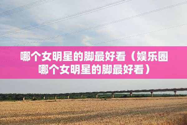 哪个女明星的脚最好看（娱乐圈哪个女明星的脚最好看）