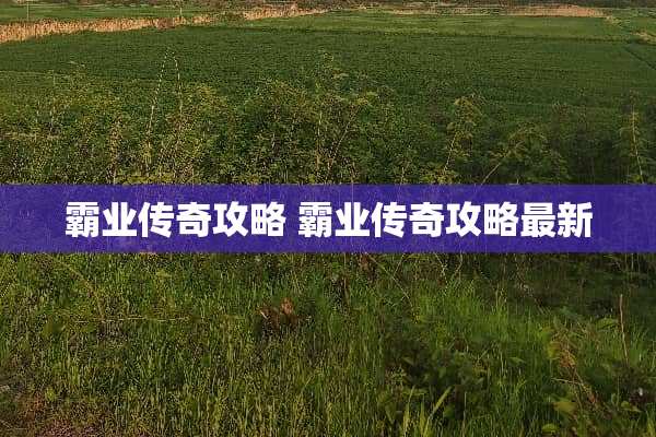 霸业传奇攻略 霸业传奇攻略最新