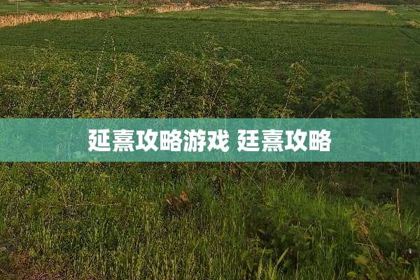 延熹攻略游戏 廷熹攻略