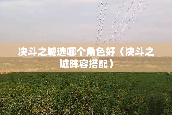 决斗之城选哪个角色好(决斗之城阵容搭配) 决斗之城选哪个角色好(决斗之城阵容搭配)