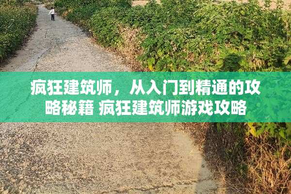 疯狂建筑师，从入门到精通的攻略秘籍 疯狂建筑师游戏攻略