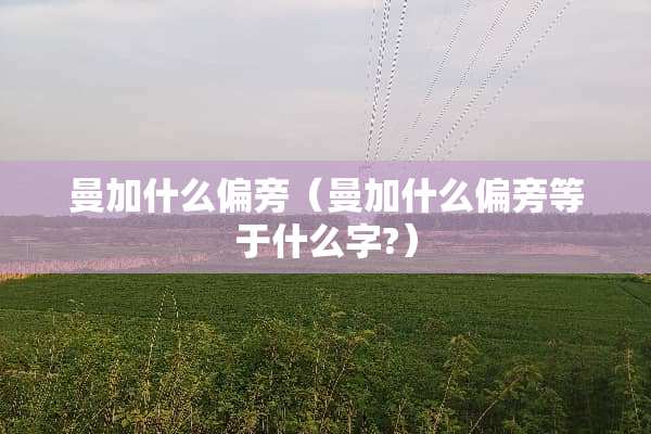 曼加什么偏旁（曼加什么偏旁等于什么字?）