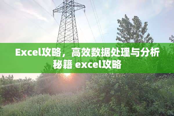 Excel攻略，高效数据处理与分析秘籍 excel攻略