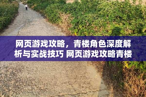 网页游戏攻略，**角色深度解析与实战技巧 网页游戏攻略**