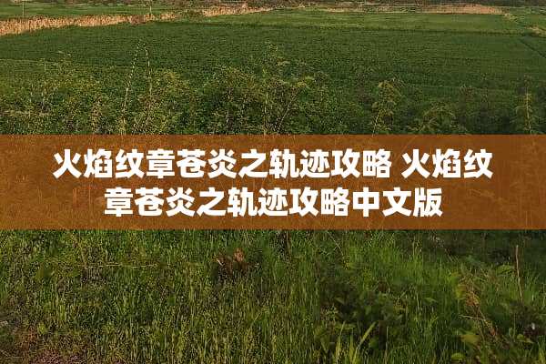 火焰纹章苍炎之轨迹攻略 火焰纹章苍炎之轨迹攻略中文版