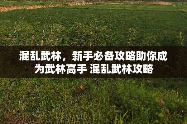 混乱武林，新手必备攻略助你成为武林高手 混乱武林攻略