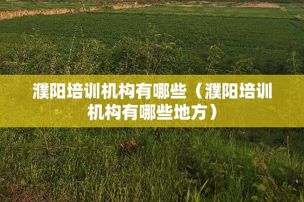 濮阳培训机构有哪些（濮阳培训机构有哪些地方）