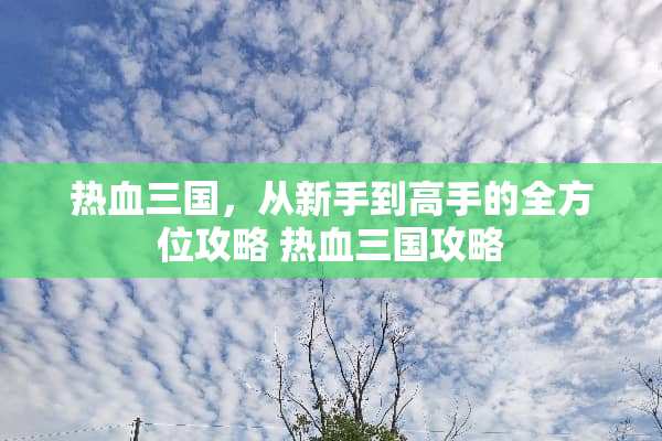 热血三国，从新手到高手的全方位攻略 热血三国攻略