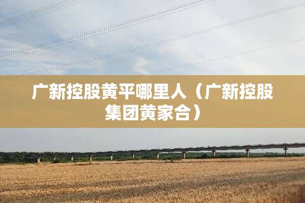 广新控股黄平哪里人（广新控股集团黄家合）