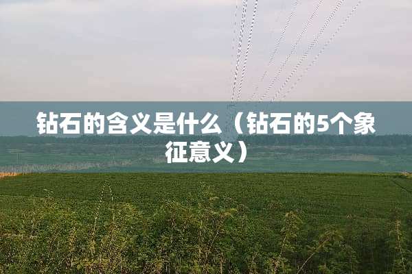 钻石的含义是什么（钻石的5个象征意义）