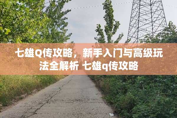 七雄Q传攻略，新手入门与高级玩法全解析 七雄q传攻略
